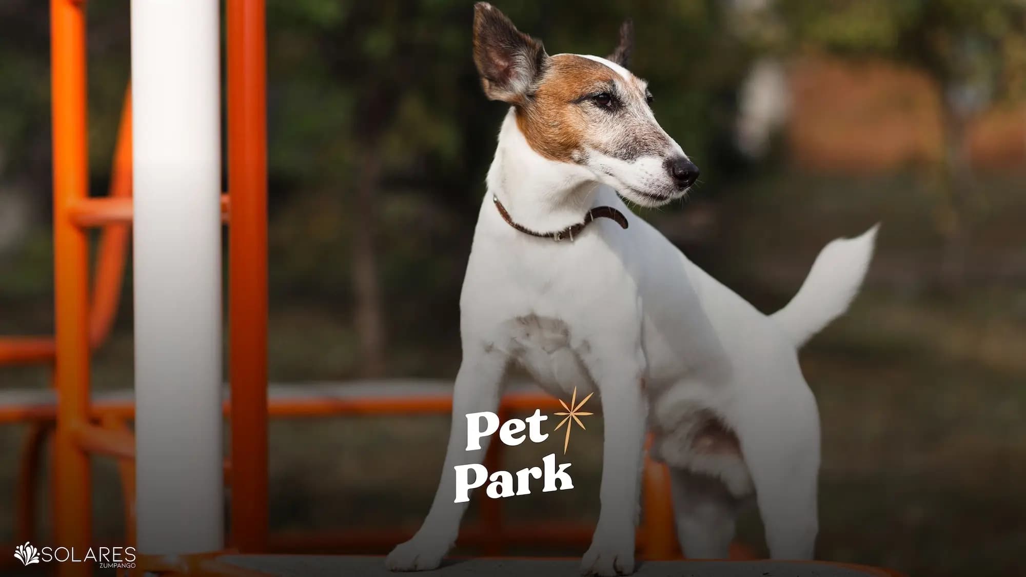 Pet Park de Solares