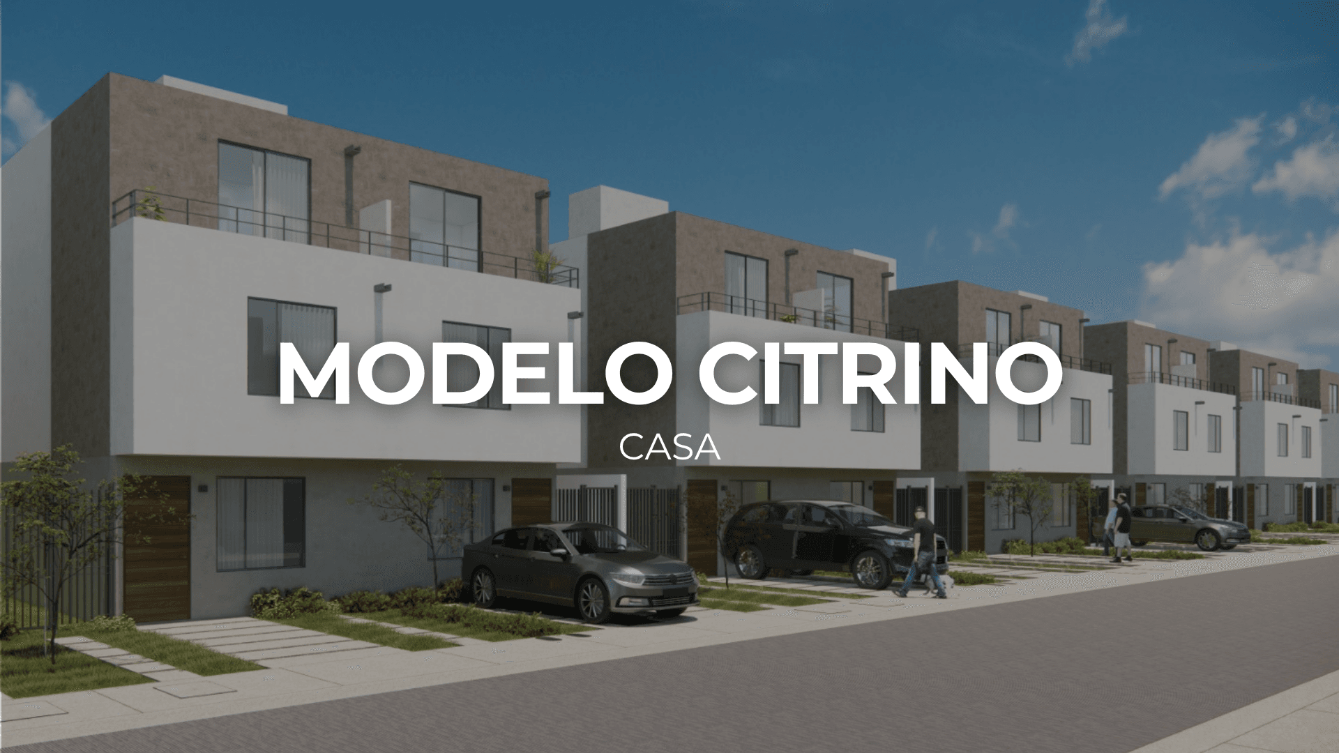 Modelo Citrino en Abeto