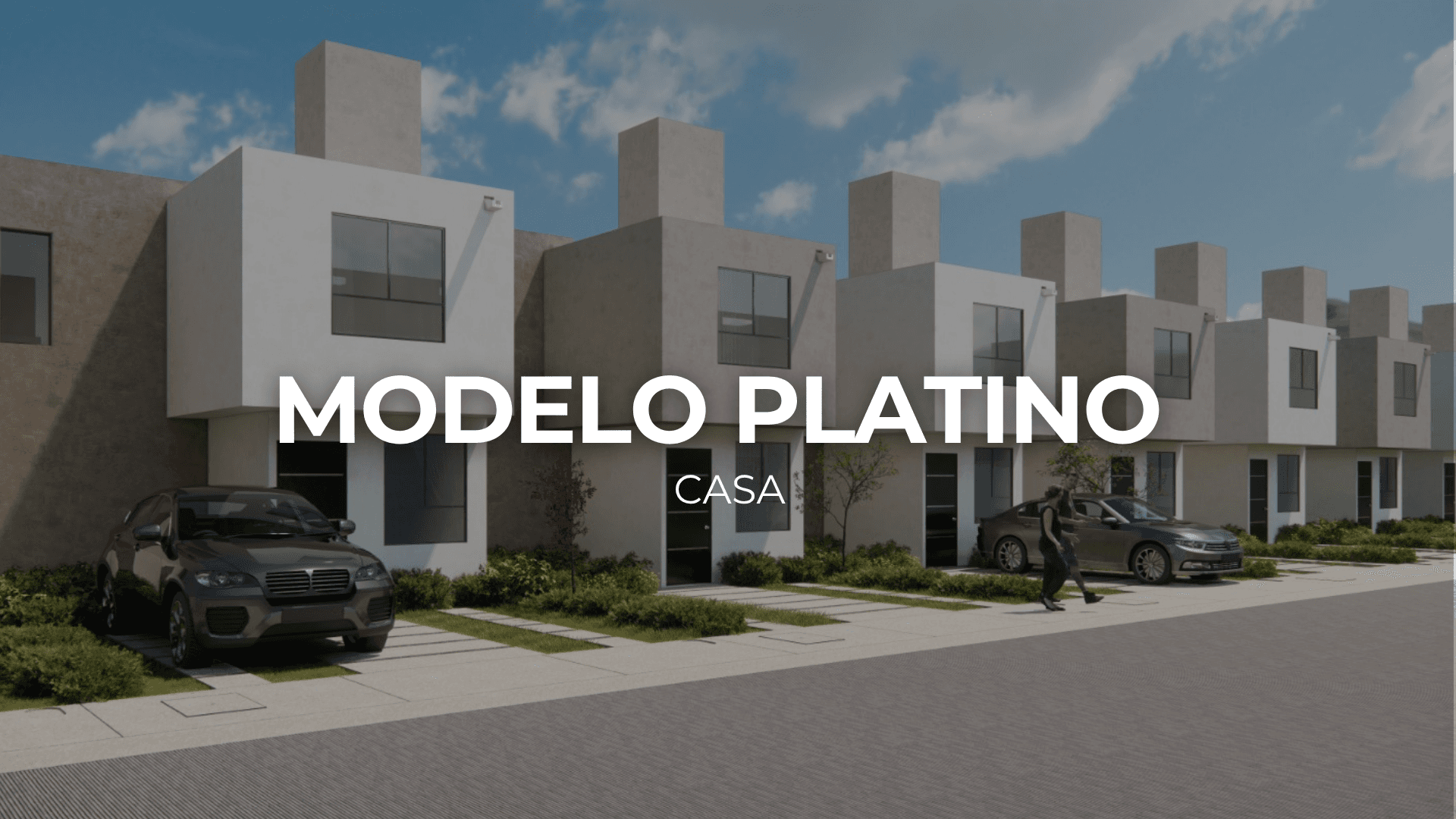 Modelo Platino